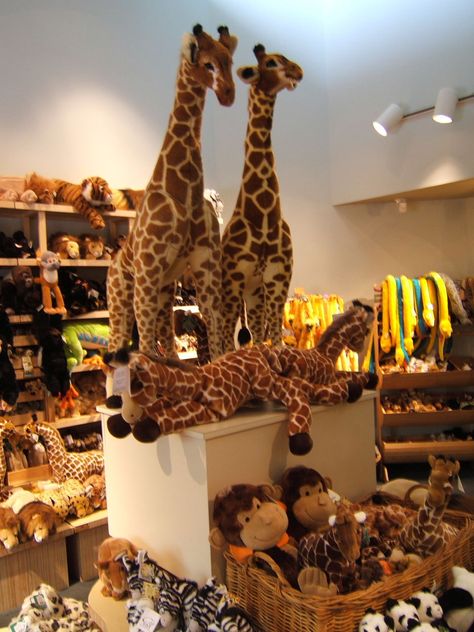 Tall giraffes, small giraffes, hiding giraffes, and more at the Trading Company, Zoo Atlanta Gifts and Supplies shop Zoo Gift Shop, Zoo Images, Zoo Atlanta, Zoo Theme, Collage Work, Calendar Of Events, London Zoo, Souvenir Shop, Animal Photos