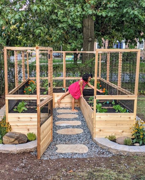 Cute Raised Bed Garden Ideas, At Home Garden Raised Beds, Building A Garden Bed, Raised Garden Enclosure, Raised Bed Garden Layout Small Spaces, Raised Beds With Fence, Raised Garden Bed Layouts, Raised Garden Beds Fence, Vegetable Garden Bed Ideas