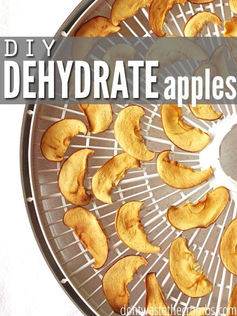 The scoop on how to dehydrate apples, plus a recipe for dehydrated caramel apple chips - an excellent alternative to holiday candy! Diy Apple Chips, Frugal Snacks, Dehydrate Apples, Super Healthy Snacks, Snacks Diy, Dehydrated Apples, Apple Chips Baked, Diy Apple, Nutella Desserts