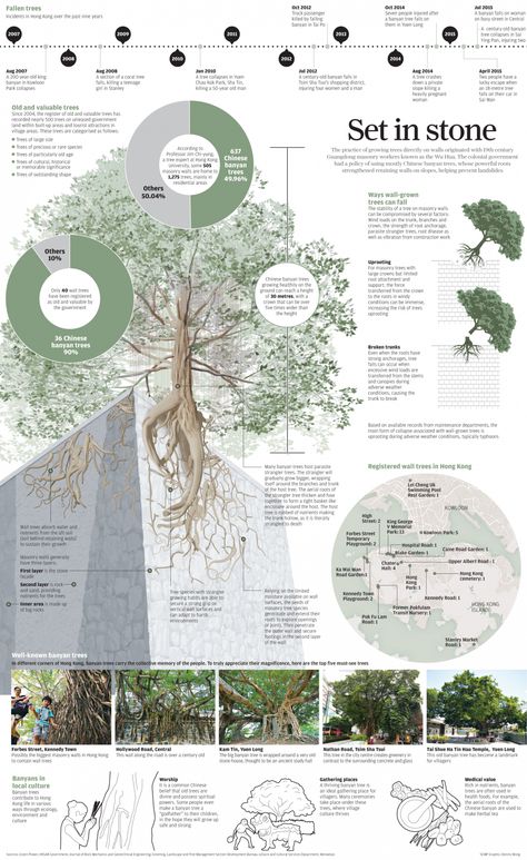 Collage Tree, Landscape Representation, Landscape Plane, Landscape Diagram, Tree Diagram, Urban Tree, Plant Study, Carbon Sequestration, Architecture Life