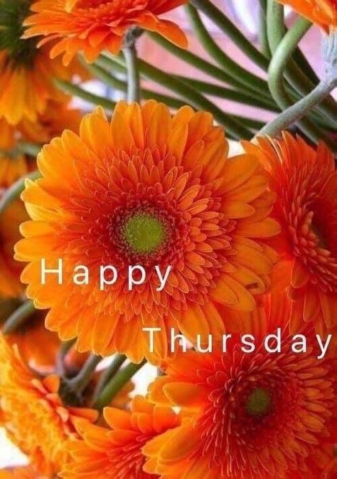 Happy Thursday! Remember to stay hydrated this Thirsty Thursday! 🌞 Good Morning Thursday Flowers, Happy Thursday Images Beautiful, Happy Thursday Pictures, Happy Thursday Morning, Happy Thursday Images, Good Morning Sister Quotes, Greetings For The Day, Good Morning Happy Thursday, Happy Thursday Quotes