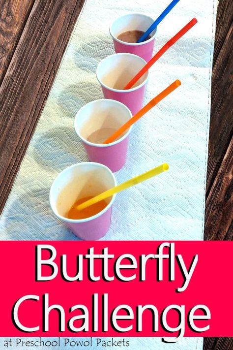 Such a fun way to learn about butterflies!! A butterfly food challenge!! Awesome science sensory lesson for preschool and kindergarten/elementary aged kiddos! Butterfly Activities For Preschool, Butterfly Science Activities, Preschool Butterfly Theme, Butterfly Activities, Butterfly Lessons, Butterfly Food, Butterfly Science, About Butterflies, Insects Preschool