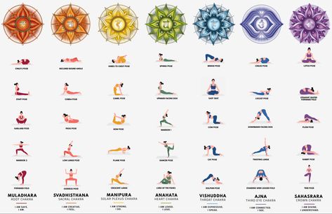 7 Chakras Yoga Poses, Sacral Chakra Yoga, Rutinitas Harian, Hata Yoga, Chakra Healing Meditation, Yoga Facts, Yoga Inspo, Yoga Lessons, Yoga Poster