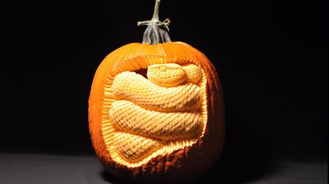 “For this one, I visualized a snake stowed away inside a pumpkin.” - Scott Cummins Snake Pumpkin Carving, Snake Pumpkin, Craft Pumpkin Carving, Pumpkin Sculpting, Pumkin Carving, Halloween Pumpkin Carving Stencils, Creative Pumpkin Carving, Amazing Pumpkin Carving, Scary Pumpkin Carving