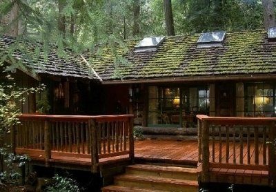 love it!! Homestead Cabin Interior, House By The Woods, Argentina Farmhouse, Hera Cabin, Woodsy Home, Clapboard House, Small House In The Woods, Roof House, Moss Covered