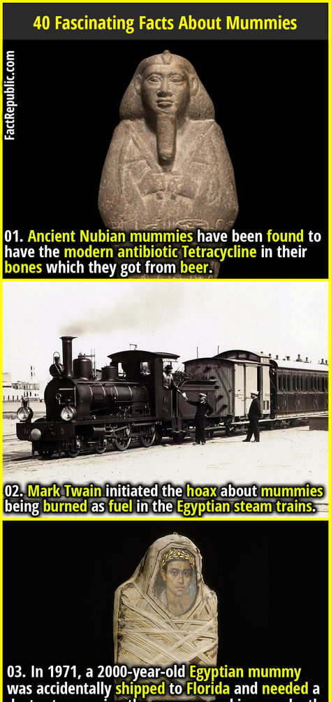 01. Ancient Nubian mummies have been found to have the modern antibiotic Tetracycline in their bones which they got from beer.