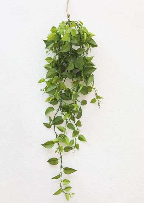 PRICES MAY VARY. Find fake plants, like this lush green fake philodendron hanging plant. You can easily arrange this tropical houseplant in your favorite planter or hanging basket to showcase its gorgeous trailing leaves.32" Long x 11" WideLeaves, .75-3" Long x .5-1.5" Wide90% Plastic, 10% WireSoft Plastic with Rope HangerIndoor/OutdoorPot Not Included*Ethically made in China. Boho Fake Plants, Canna Plants, Home Flower Arrangements, Fake Hanging Plants, Plant Display Ideas, Indoor Plant Wall, Plants Aesthetic, Hanging Plant Wall, Hanging Plants Indoor