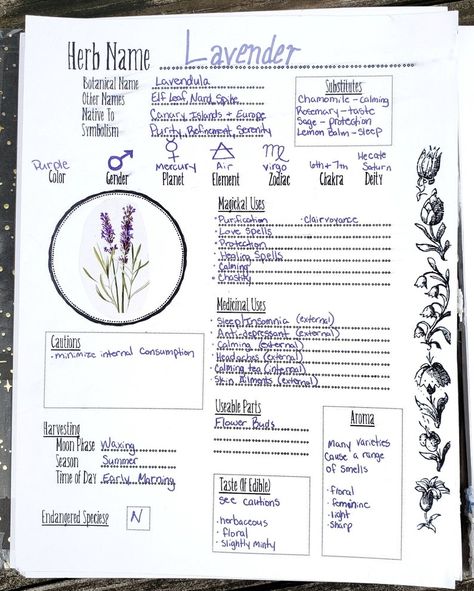 Book Of Shadows Pages, Witchcraft Herbs, Tarot Significado, Witchcraft Books, Grimoire Book, Healing Spells, Wiccan Spell Book, Magick Book, Witchcraft Spell Books