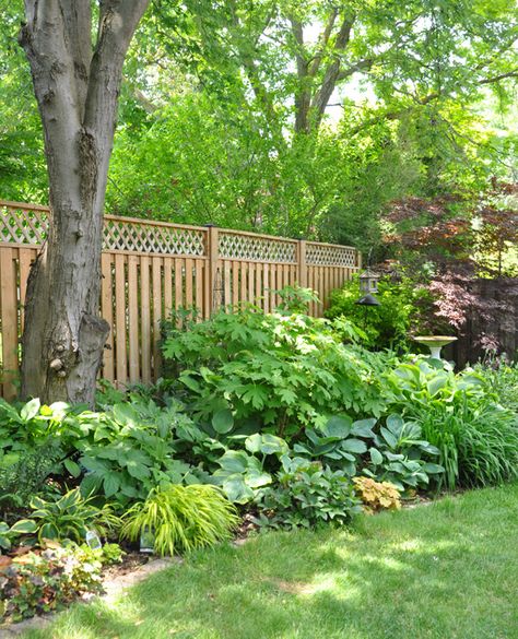 Media Sombra, Shade Landscaping, Shade Garden Design, Long Blooming Perennials, Shade Garden Plants, Backyard Shade, Oakville Ontario, Pergola Design, Cottage Garden Plants