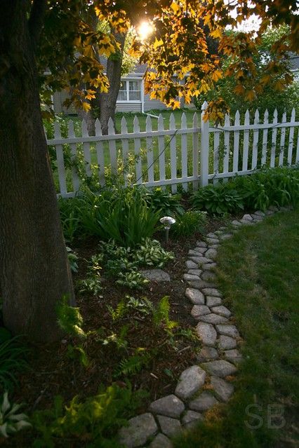 Fence Garden Bed, Picket Fence Garden, Hydrangea Petiolaris, Fence Garden, White Picket Fence, Garden Backyard, Backyard Fences, Garden Path, Garden Edging