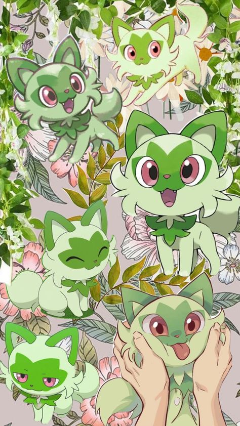 Sprigatito Pokemon Wallpaper, Pokémon Iphone Wallpaper, Sprigatito Pokemon, Plant Pokemon, Green Pokemon, Descendants 1, Cartoon Wallpaper Iphone, Aesthetic Images, Descendants