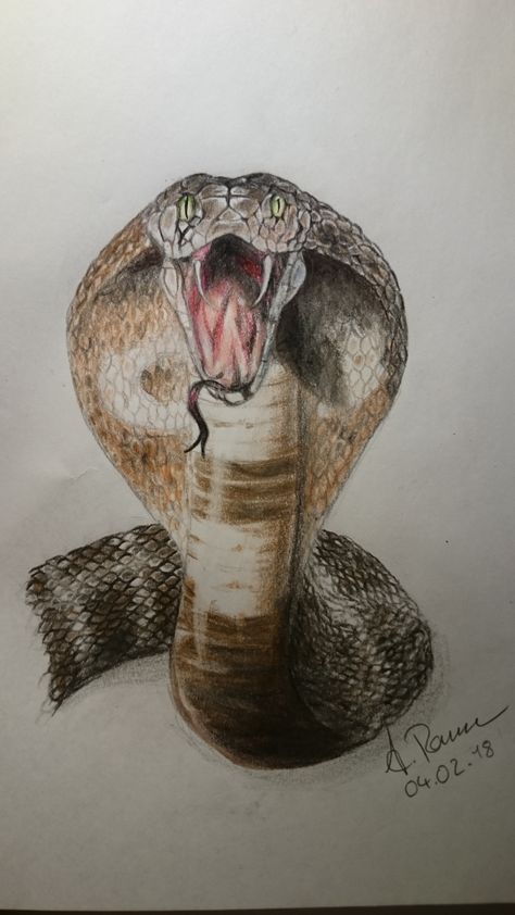 Cobra Painting, Cobra Drawing, Realistic Animal Drawings, Snake Painting, Realistic Paintings, Cat Painting, Snakes, Oil Pastel, Spirit Animal