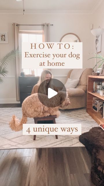 How To Tire Out Your Dog Indoors, Puppy Busy Activities, Games To Play With Your Dog, Dog Enrichment Ideas, Puppy Time, Impulse Control, Training Ideas, Potty Training Puppy, Instagram Challenge