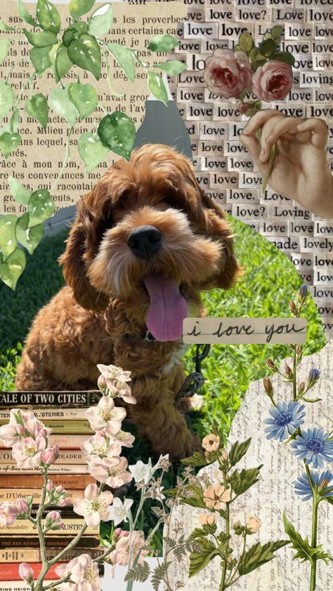 #pets #dogs #puppy #family #countryside #countrylivingroom Pet Collage Ideas, Family Countryside, Collage Gifts, Cute Dog Wallpaper, Wallpaper Collage, Country Living Room, Pets Dogs, Dog Wallpaper, Dogs Puppy