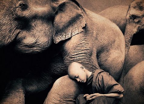 Photograph by Gregory Colbert from his exhibit entitled Ashes and Snow Gregory Colbert, Little Buddha, Elephant Love, Powerful Images, We Are The World, Gentle Giant, An Elephant, True Nature, Pics Art