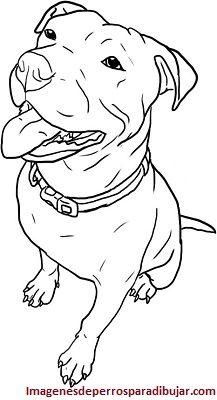 imagenes de perros pitbull para colorear sentado Bull Lineart, Pitbull Colors, Pit Bull Drawing, American Staffy, Pitbull Drawing, Pitbull Tattoo, Pitbull Art, Puppy Drawing, Výtvarné Reference