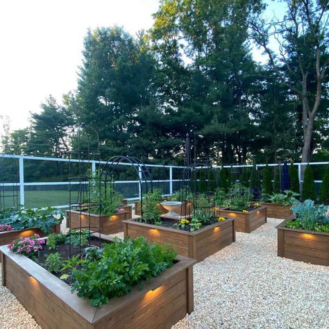 Backyard Raised Garden Beds, Raised Bed Garden Layout, Raised Garden Designs, Veggie Garden Layout, Backyard Raised Garden, Deer Fencing, Nest Ideas, Garden Bed Layout, Raised Garden Bed Ideas