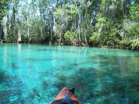 Kayaking In Florida: Top 23 Launch Spots Mapped • Kayaking Near Me Video Chill, 7 Natural Wonders, Ocala National Forest, Best Popcorn, Florida Springs, Places In Florida, Everglades National Park, Instagrammable Places, Three Sisters