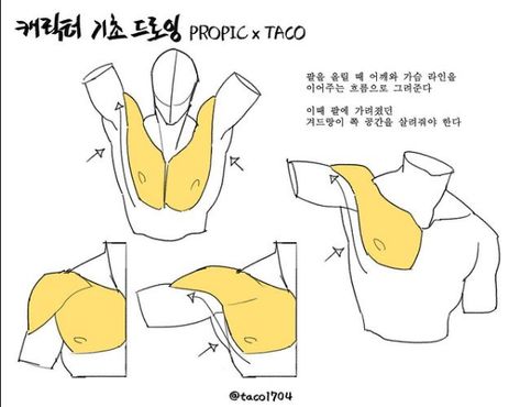 Anatomy Tutorial, Human Anatomy Drawing, Body Drawing Tutorial, Human Anatomy Art, Anatomy Sketches, Anatomy For Artists, Body Reference Drawing, Drawing Studies, 인물 드로잉