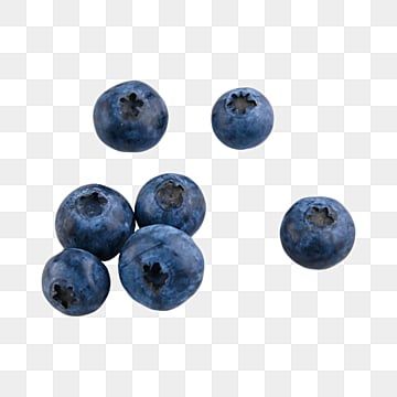 Sweets Clipart, Circle Clipart, Blueberry Cupcakes, Blueberry Season, Fruit Clipart, Food Clipart, Blueberry Fruit, Food Png, Wild Blueberries