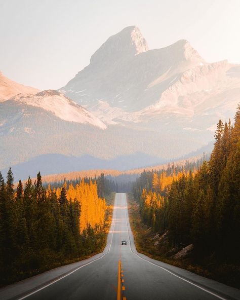 Jake Guzman on Instagram: “Nothing beats a summer road trip to Canada. 🌲🏔”