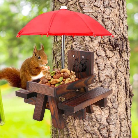 Squirrel Picnic Table Feeder | Bird Spot Squirrel Picnic Table Feeder, Mini Picnic Table, Squirrel Feeder Diy, Squirrel Picnic Table, Halloween Garden Decorations, Squirrel Feeder, Halloween Garden, The Picnic, Bungee Cord