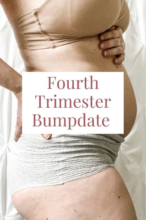 Sharing a summary of our Fourth Trimester: details about my breastfeeding journey, physical / hormonal changes, and everything in between! Planning Life, Fourth Trimester, Postpartum Recovery, Hormonal Changes, Life Plan, Hospital Bag, Nursery Design, Baby Announcement, Gender Reveal