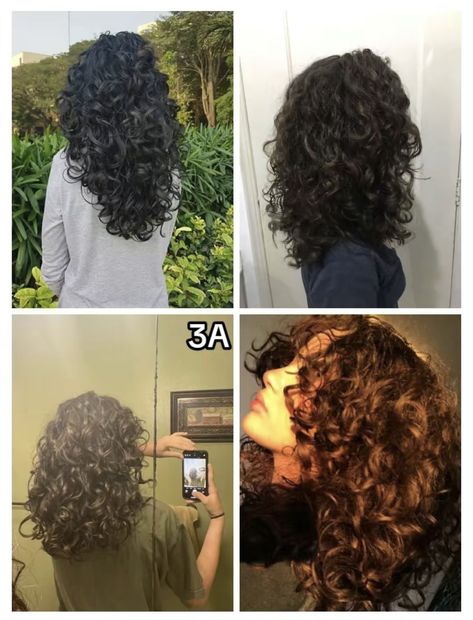 3a Hair Type, 2c 3a Curly Hair, Curly Hair 2c, 2c 3a Hair, 3a Curly Hair, 3a Hair, Layered Curly Hair, Wavy Hair, Hair Goals