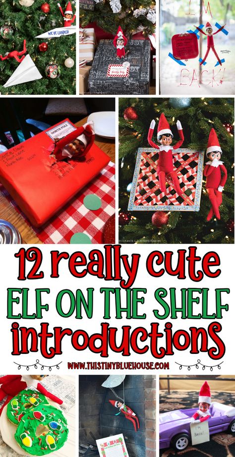 Looking for a fun way to welcome back your Elf on the Shelf?

Here are 12 simple Elf on the Shelf arrival ideas that kids just love.

These easy Elf on The Shelf return ideas are a great way to kick off the beginning of the holiday season!

Head on over to our website to see which cute arrival ideas for Elf on The Shelf we included in our list. Best Welcome Back Elf On The Shelf, Elf On The Shelf Ideas For Toddlers Welcome Back, Introduction Elf On The Shelf Ideas, Elf Arrival Ideas Easy, Ideas To Bring Back Elf On The Shelf, Elf On The Shelf Ideas For Returning, Invisible Elf On The Shelf Ideas, Elf On The Shelf Notes First Day, Elf On The Shelf New Elf Arrival