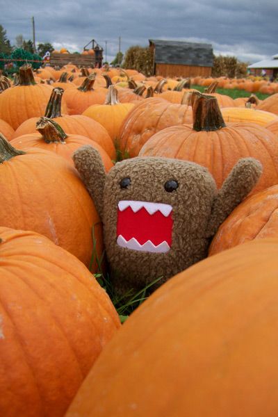 It's DOMO!!!!  Getting excited for the upcoming holiday Thanksgiving. Domo Kun Wallpapers, Gloomy Bear Halloween, Sweet Potato Pecan Pie, Domo Kun, Charmmy Kitty, 2013 Swag Era, Ugly Dolls, Pumpkin Picking, Emo Scene