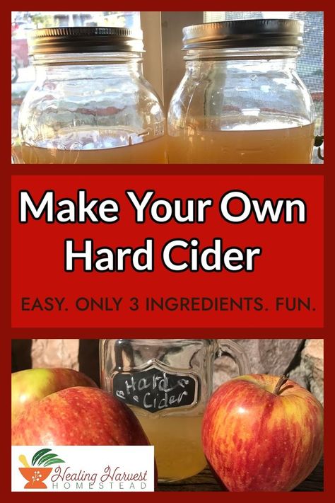 Have you ever wanted to try making your own Hard Cider? It is a lot easier than you think! Learn how to take apple cider and ferment it to make a delicious hard cider that you can drink any time. It is easy to make with only 3 ingredients. Why not give it a try? #hardcider #applerecipes #appleorchard #easyrecipe #fermentation Fermented Apple Cider, Canned Apple Cider, How To Make Apple Cider From Apple Juice, How To Make Hard Cider, How To Make Apple Cider, Hard Apple Cider Recipe, Diy Cider, Hard Cider Recipe, Apple Cider Uses