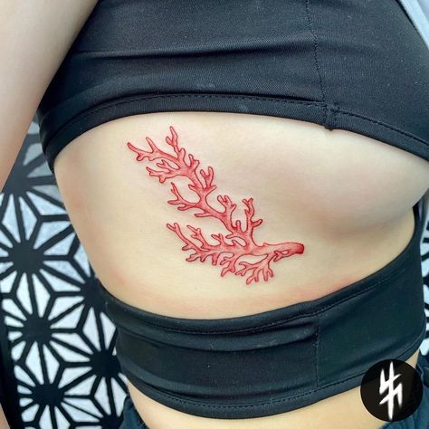 AlessioKamaPoggiali | Coral flash from my book 🌊 📩 info and booking 📩 - - - #coraltattoo #tattoo #coral #tattoos #tattooing #tattooartist #redtattoo #seatattoo… | Instagram Coral Tattoos, Coral Tattoo Design, Cool Thigh Tattoos, Coral Reef Tattoo, Marine Tattoos, Coral Tattoo, Marine Tattoo, Shell Tattoo, Tattoo 2024