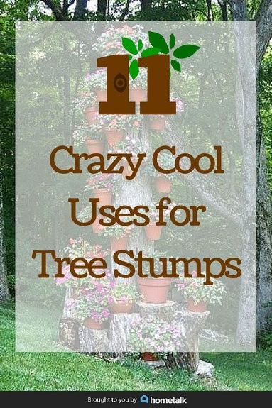 Wood Stump Ideas Outdoor, Hollowed Out Tree Stump, What To Do With Tree Stumps Ideas, Landscaping With Tree Stumps, Wood Stumps Ideas, Stump Ideas Landscaping, Landscaping Around Tree Stumps, What To Do With A Tree Stump, Things To Do With Tree Stumps