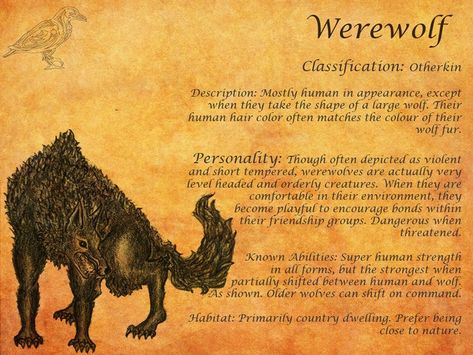 Interesting Werewolf Lore | Werewolves Werewolf Information, Werewolf Folklore, Werewolf Wedding, Werewolf Core, Werewolf Facts, Monster Mythology, Werewolf Fanart, Werewolf Lore, Werewolf Mythology