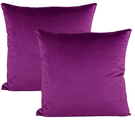 Wayfair Throw Pillows, Black Couches, Purple Throw, Purple Cushions, Purple Throw Pillows, Pillow Covers Decorative, Throw Pillow Inserts, Office Set, Velvet Pillow Covers