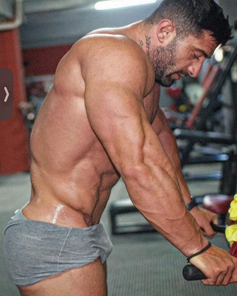 Get Ripped Fast, Muscular Back, Bodybuilding Pictures, Ripped Body, Beefy Men, Get Ripped, Hipster Man, Build Lean Muscle, Big Muscles