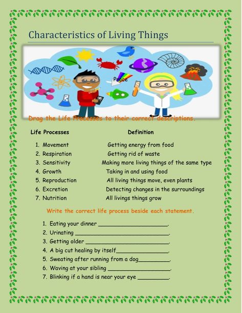 Characteristics Of Living Things, Classroom Preparation, Classroom Pictures, American Colonies, Science Worksheets, Behavior Change, Educational Worksheets, Living Things, Personal Website