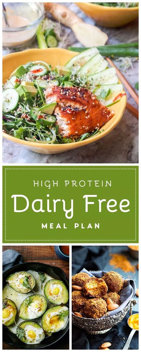 High Protein Dairy Free Meals | Non-Dairy Recipes & Tips Dairy Free Meal Ideas, High Protein Dairy Free, Lunch Snack Ideas, Protein Dairy Free, Dairy Free Meal, Dairy Free Meals, Dairy Free Lunch, Dairy Free Protein, Diy Cheese