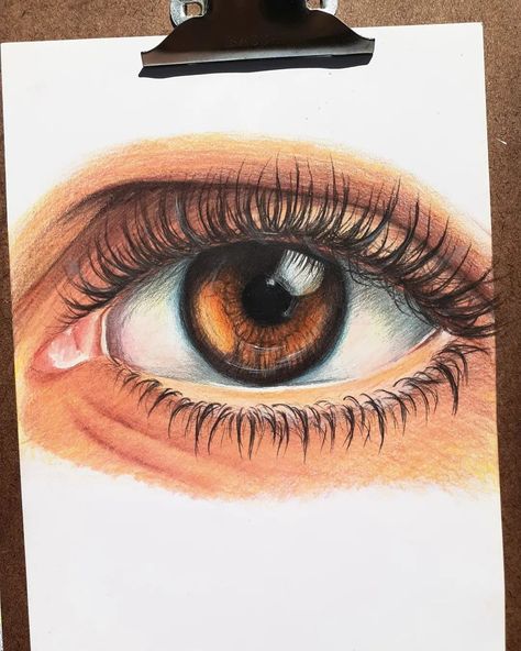 Eye Sketch Color Pencil, Eyes Colour Drawing, Eye Colour Pencil Drawing, Eyes Drawing Colorful, Colour Eyes Drawing, Eye Drawing Realistic Colored Pencils, Colored Eye Drawing, Color Pencil Eye Drawing, Eye Colour Drawing