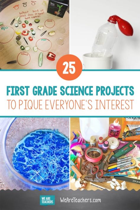 25 First Grade Science Projects to Pique Everyone’s Interest. First grade science projects, activities, and experiments that are fun for everyone, and the hands-on learning can't be beat. Try these 25 on for size! #science #teachingscience #STEM #firstgrade #teaching 1st Grade Science Fair, 4th Grade Science Experiments, First Grade Science Projects, 5th Grade Science Projects, Homeschool Science Experiments, 1st Grade Activities, 1st Grade Science, First Grade Science, Homeschool Projects