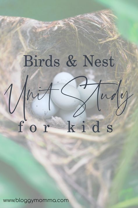 Birds And Their Nests, Birds Nests, What To Study, Weaving For Kids, Bird Nests, 1st Grade Writing, Nature Science, Science Units, Bird Theme