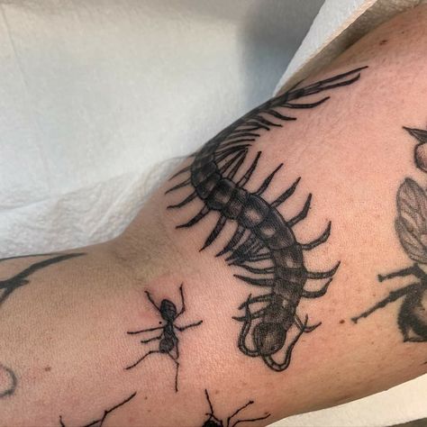 Bug Arm Tattoo, Ants Tattoo, Under Skin Tattoo, Giant Centipede, Centipede Tattoo, Ant Tattoo, Hunter Tattoo, Ouroboros Tattoo, Patriotic Tattoos