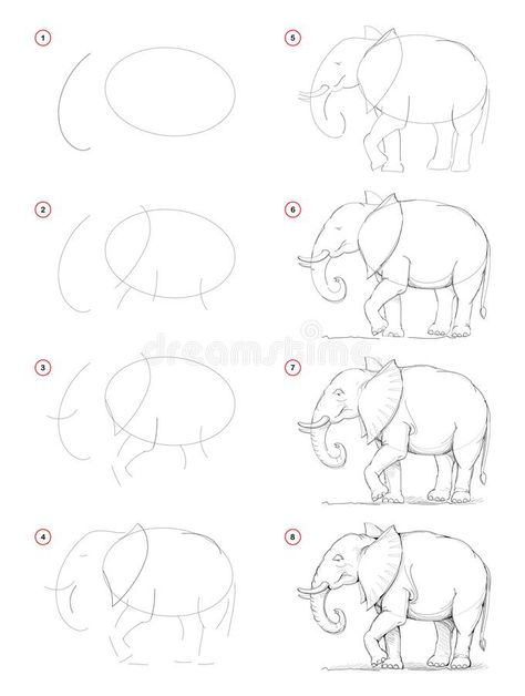 Art Sketches Elephant, Sketch Learning Step By Step, Natural Things Drawing, How To Draw A Gorilla Step By Step, Elephant How To Draw, Elephant Drawing Tutorial, Beta Fish Drawing Step By Step, African Elephant Drawing, Animals Step By Step Drawings