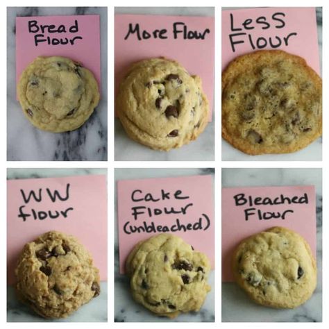 Which Flour Is Best For Cookies? Too Much Flour In Cookies, Cookies Using Cake Flour, Bread Flour Cookies, Pastry Flour Cookies, Cookies With Cake Flour, Cake Flour Cookies, Cookies 2023, Cake Flour Substitute, No Flour Cookies