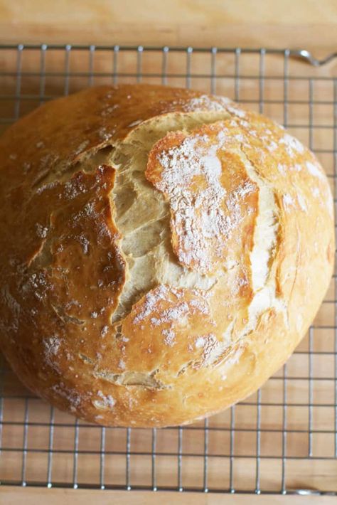 Knead Bread Recipe, A Loaf Of Bread, Bread Starter, Knead Bread, Loaf Of Bread, No Knead Bread, No Knead, Bread Maker, Easy Bread