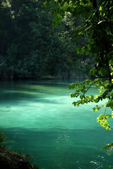 Water Aesthetic, Magic Forest, Flowers Nature, Pretty Places, Blue And Green, Beautiful World, Wonders Of The World, Beautiful Nature, Places To Travel