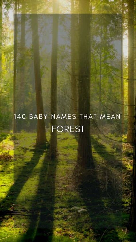 140 Baby Names That Mean Forest - Creative Nomenclature Names That Mean Kindness, Names Meaning Forest, Names That Mean Forest, Woodsy Names, Forest Names, Nature Inspired Names, Nature Names, German Names, Alder Tree