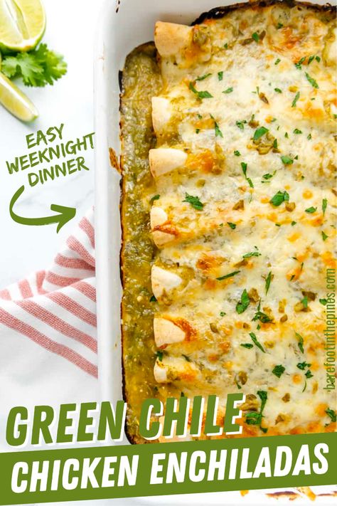 Chicken And Cheese Enchiladas With Green Chili, Easy Skillet Cheesy Green Chile Enchilada Bake, Chicken Cream Cheese Green Chili Recipes, Green Chile Cast Iron Enchiladas, Green Chili Chicken Enchiladas Dairy Free, Green Chiles Chicken Enchiladas, Red Chili Chicken Enchiladas, Gluten Free Green Enchiladas, White Chicken Green Chili Enchiladas