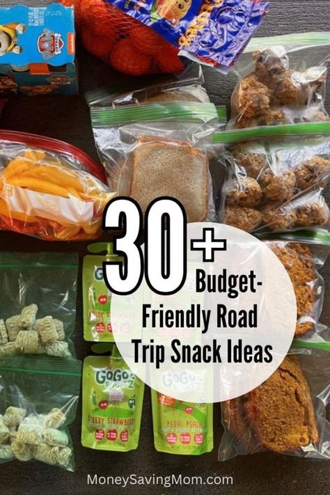 Roadtrip Snacks For Adults, Travel Snacks Roadtrip, Road Trip Snacks For Adults, Snacks On A Budget, Road Trip Snacks For Kids, Road Trip Snack Ideas, Roadtrip Snacks, Easy Protein Snacks, Best Road Trip Snacks