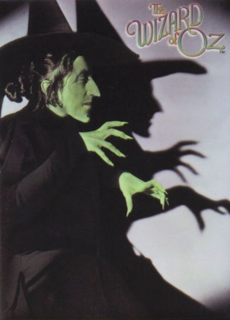 Our favorite villan we love to hate.  Just don't invite her over for a swim. Wizard Of Oz Witch, Wizard Of Oz Movie, Margaret Hamilton, Oz Movie, Wizard Of Oz 1939, Baba Jaga, Witch Pictures, Wicked Witch Of The West, Arte Peculiar